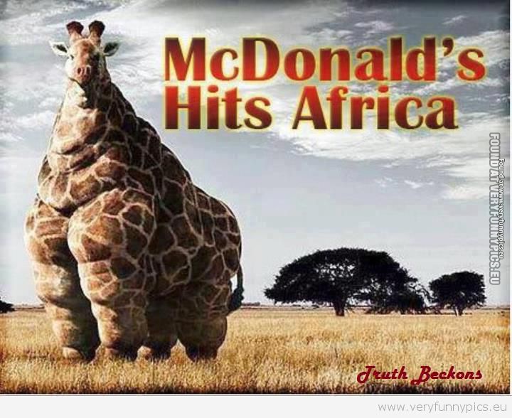 Funny Pcture - Mcdonalds hits africa