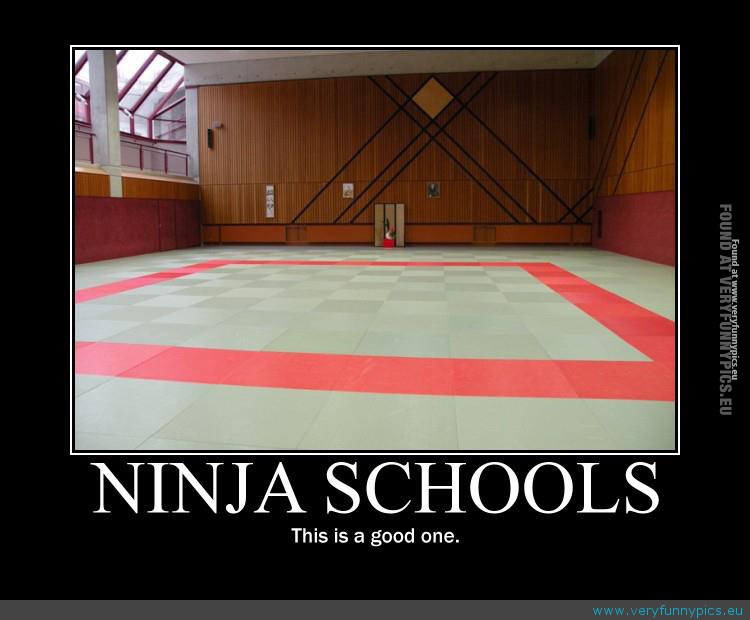 Funny Picture - A really good ninja school