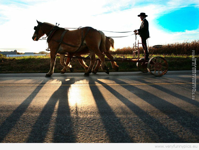 Funny Picture - Amish segway