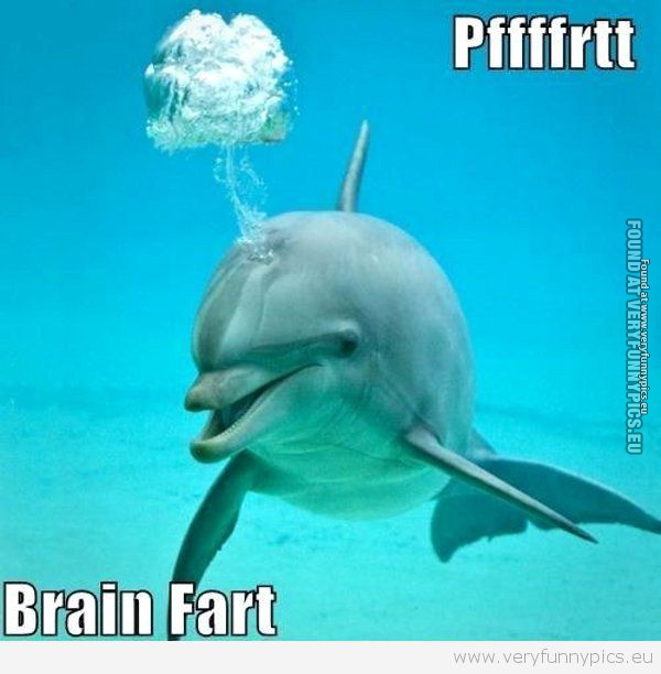 Funny Picture - Brain fart