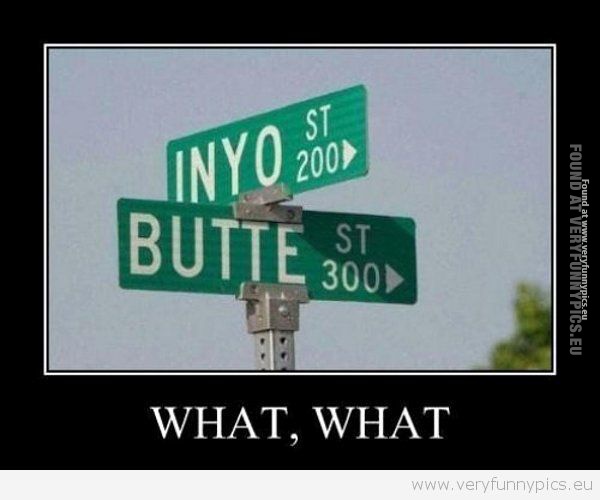 Funny Picture - Buttestreet