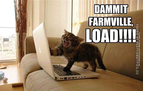 Funny Picture - Damn it farmville load