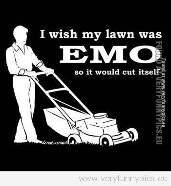 Funny Picture - Emo lawn