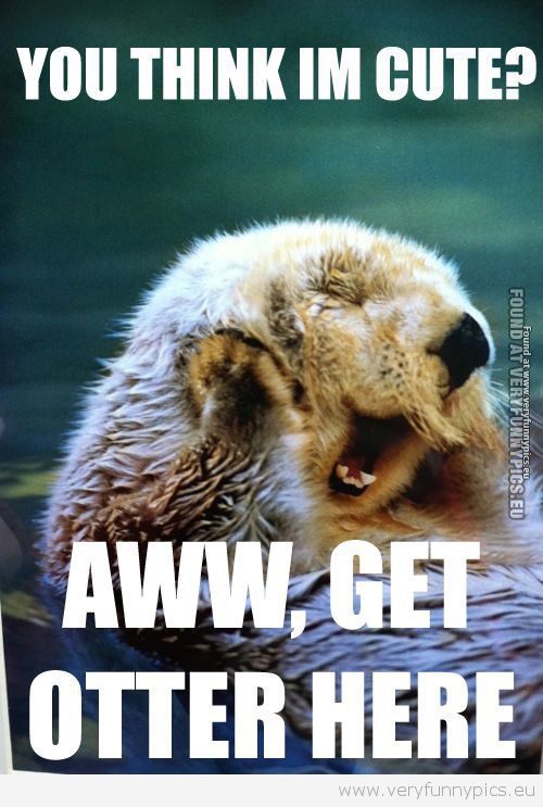 Funny Picture - Get otter here