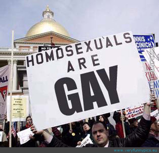 Funny Picture - Homosexuals are gay