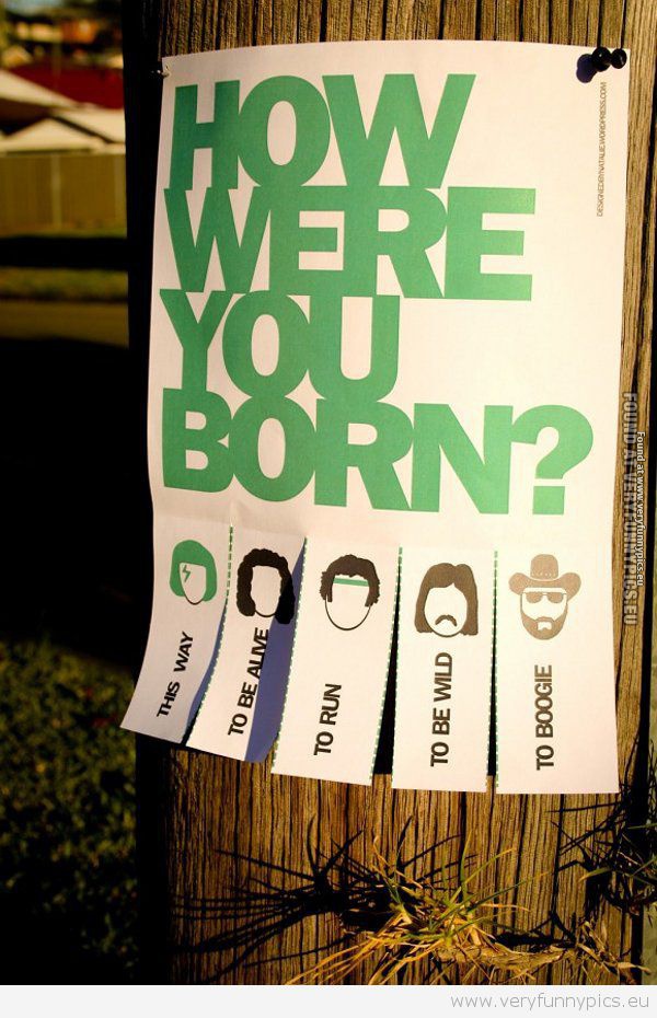 Funny Picture - How were you born