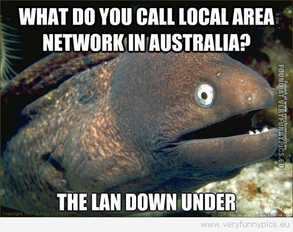 Funny Picture - Lan down under