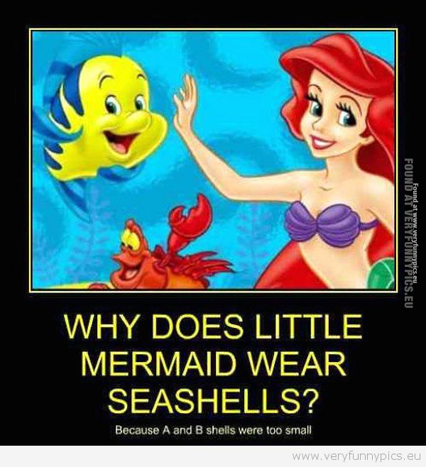 Funny Picture - Little mermaids seashells