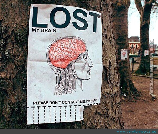 Funny Picture - Lost my brain