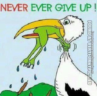 Funny Picture - Never give up