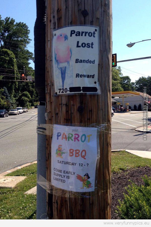 Funny Picture - Parrot lost VS Parrot BBQ