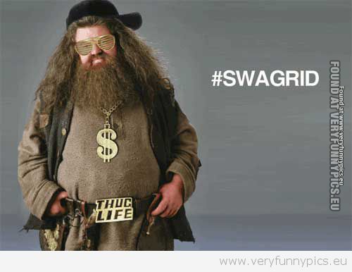 Funny Picture - Swagrid