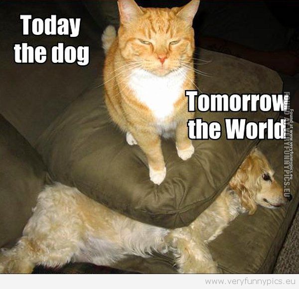 Funny Picture - Tomorrow the world