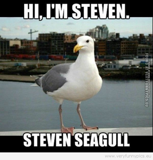 Very Funny Pics - Steven
