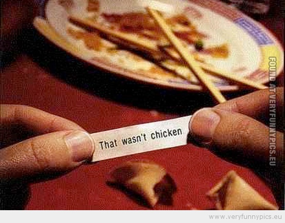 Funny Pcture- That wasn't chicken