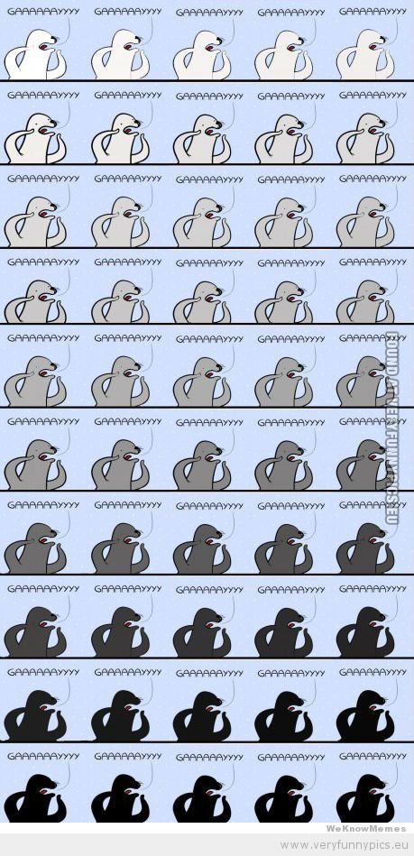 Funny Picture - 50 shades of gay