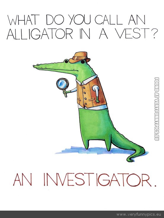 Funny Picture - Alligator in a vest investigator