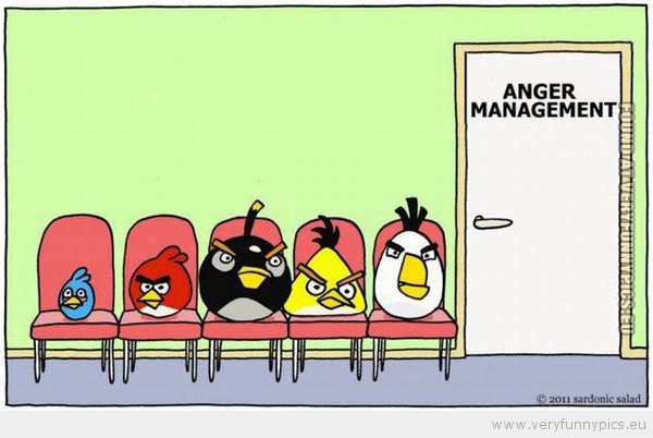 Funny Picture - Angry birds anger management