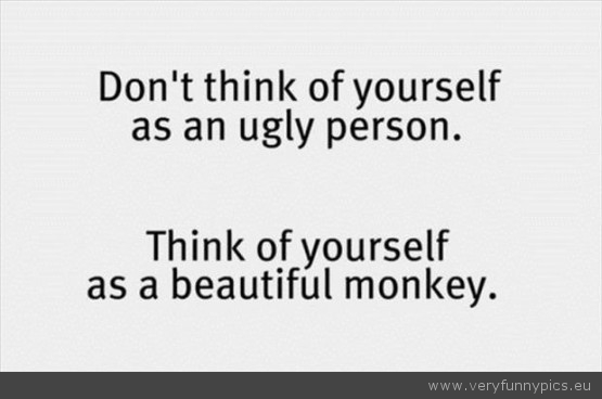 Funny Picture - Beautiful monkey