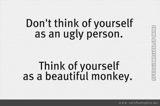 Funny Picture - Beautiful monkey