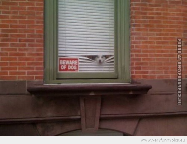 Funny Picture - Beware of dog