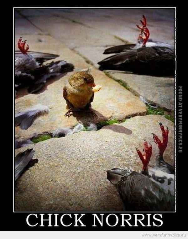 Funny Picture - Chick Norris