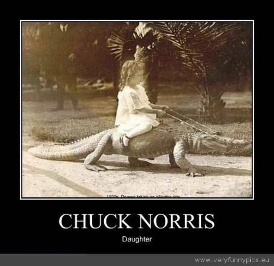 Funny Picture - Chuck norris daughter