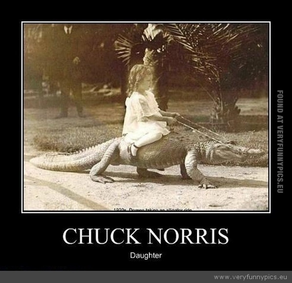 Funny Picture - Chuck norris daughter