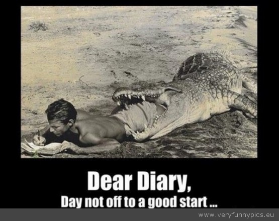 Funny Picture - Dear diary day not off to a good start