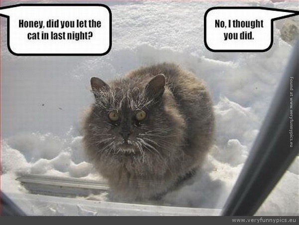 Funny Picture - Did you let the cat in