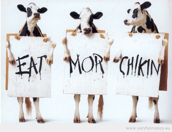 Funny Picture - Eat mor chikin