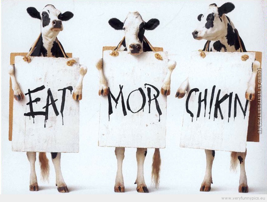 Funny Picture - Eat mor chikin