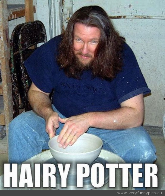 Funny Picture - Hairy potter