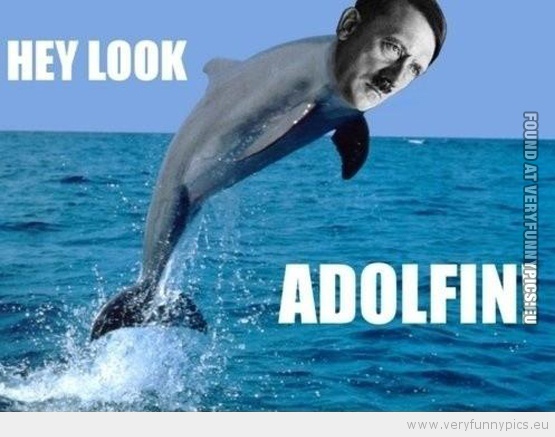 Funny Picture - Hey look adolfin