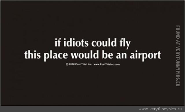 Funny Picture - If idiots could fly quote