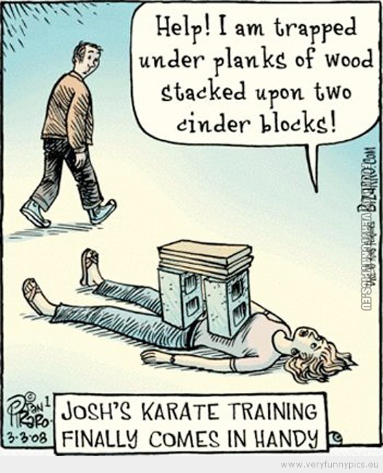 Funny Picture - Karate training finally comes in handy