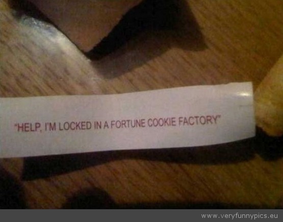 Funny Picture - Locked trapped in a fortune cookie factory