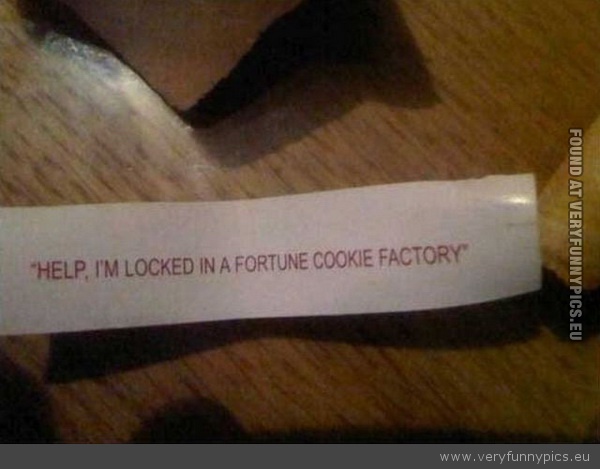 Funny Picture - Locked trapped in a fortune cookie factory