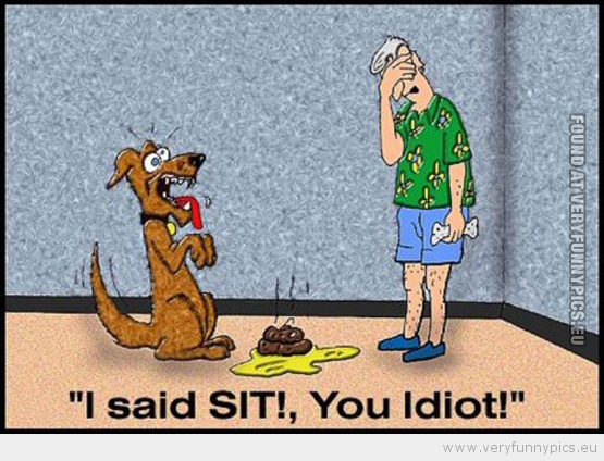 Funny Picture - Man and dog i said sit
