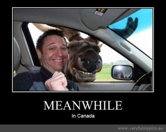 Funny Picture - Meanwhile in canada