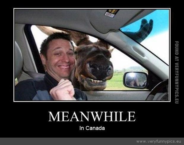 Funny Picture - Meanwhile in canada