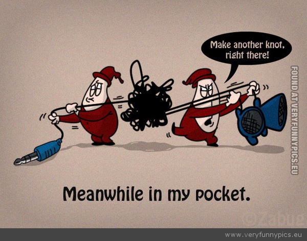 Funny Picture - Meanwhile in my pocket