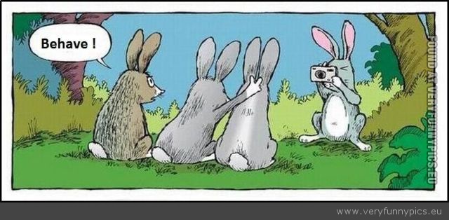 Funny Picture - Missbehaving rabbit photo