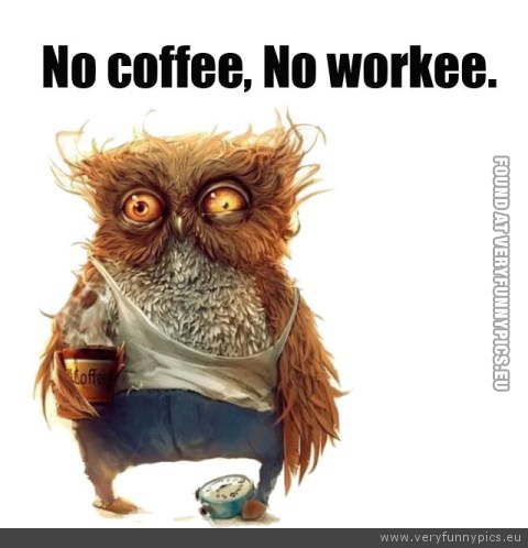 Funny Picture - No coffee no workee