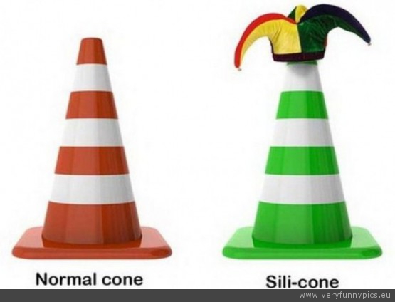 Funny Picture - Normal cone and sili cone