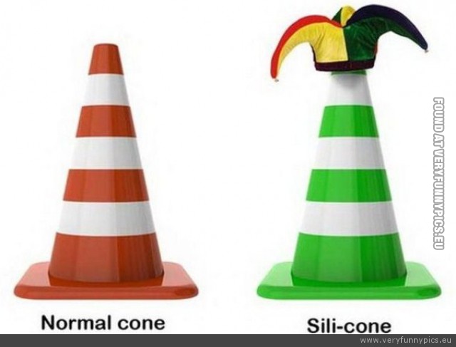 Funny Picture - Normal cone and sili cone