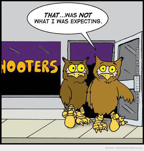 Funny Picture - Owl at hooters - that was not what i expected
