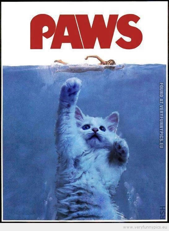 Funny Picture - Paws