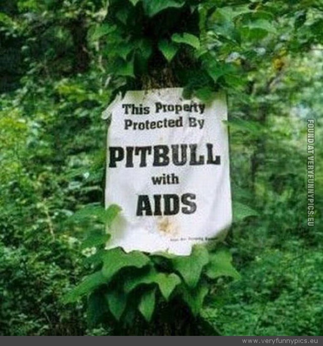 Funny Picture - Pitbull with aids