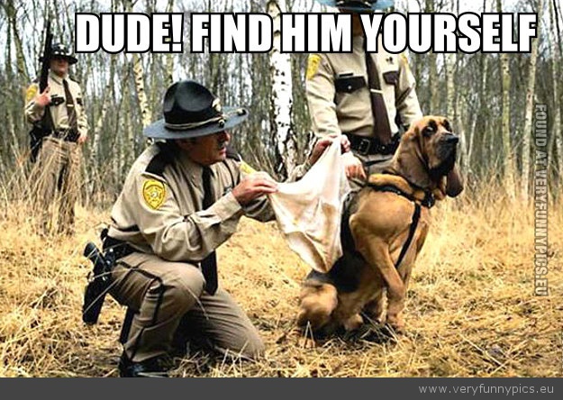 Funny Picture - Search dog dude find him yourself